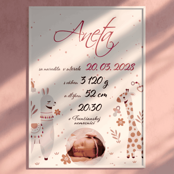 Personalizovaný obraz pre novorodenca